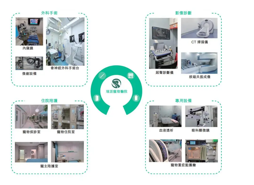 被“鏟屎官”吐槽存診療爭(zhēng)議，寵物醫(yī)療巨頭瑞派寵物IPO背后AB面