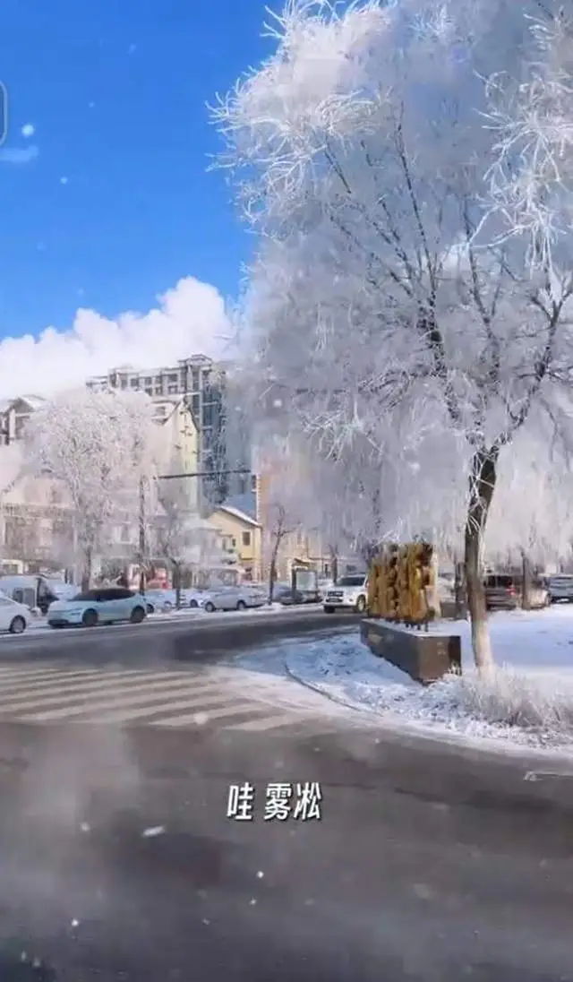 原創(chuàng)藍(lán)盈瑩吉林游玩，零下24度戶外只待半個(gè)小時(shí)就被凍傷，臉又紅又腫