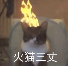 Linux之父：Vibe編程是入門(mén)編程的絕佳方式