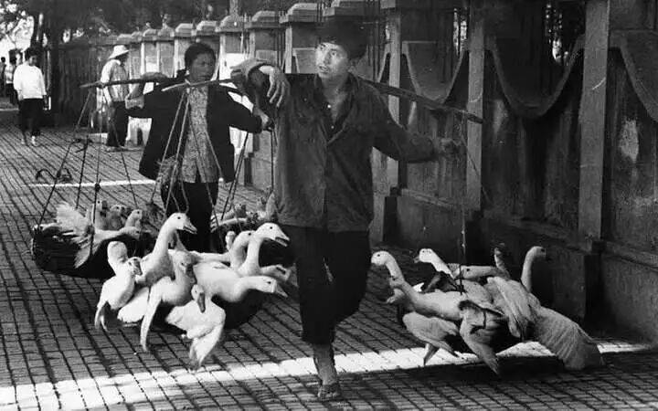 新中國第一批女?dāng)z影記者曉莊去世，享年94歲