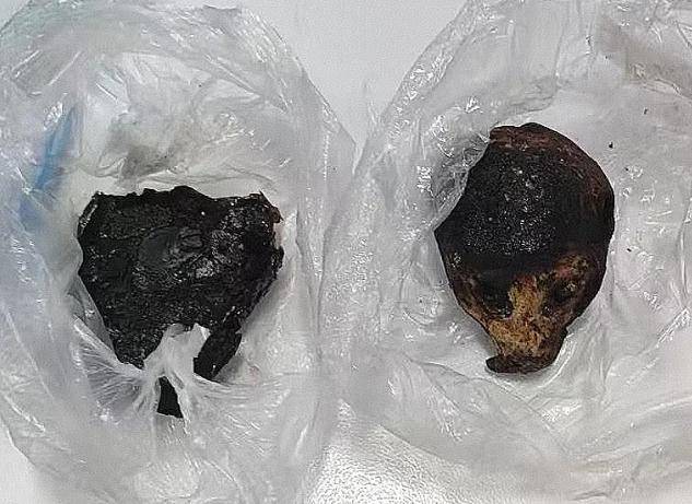 昆明海關(guān)所屬瑞麗海關(guān)查獲蜂猴制品105克