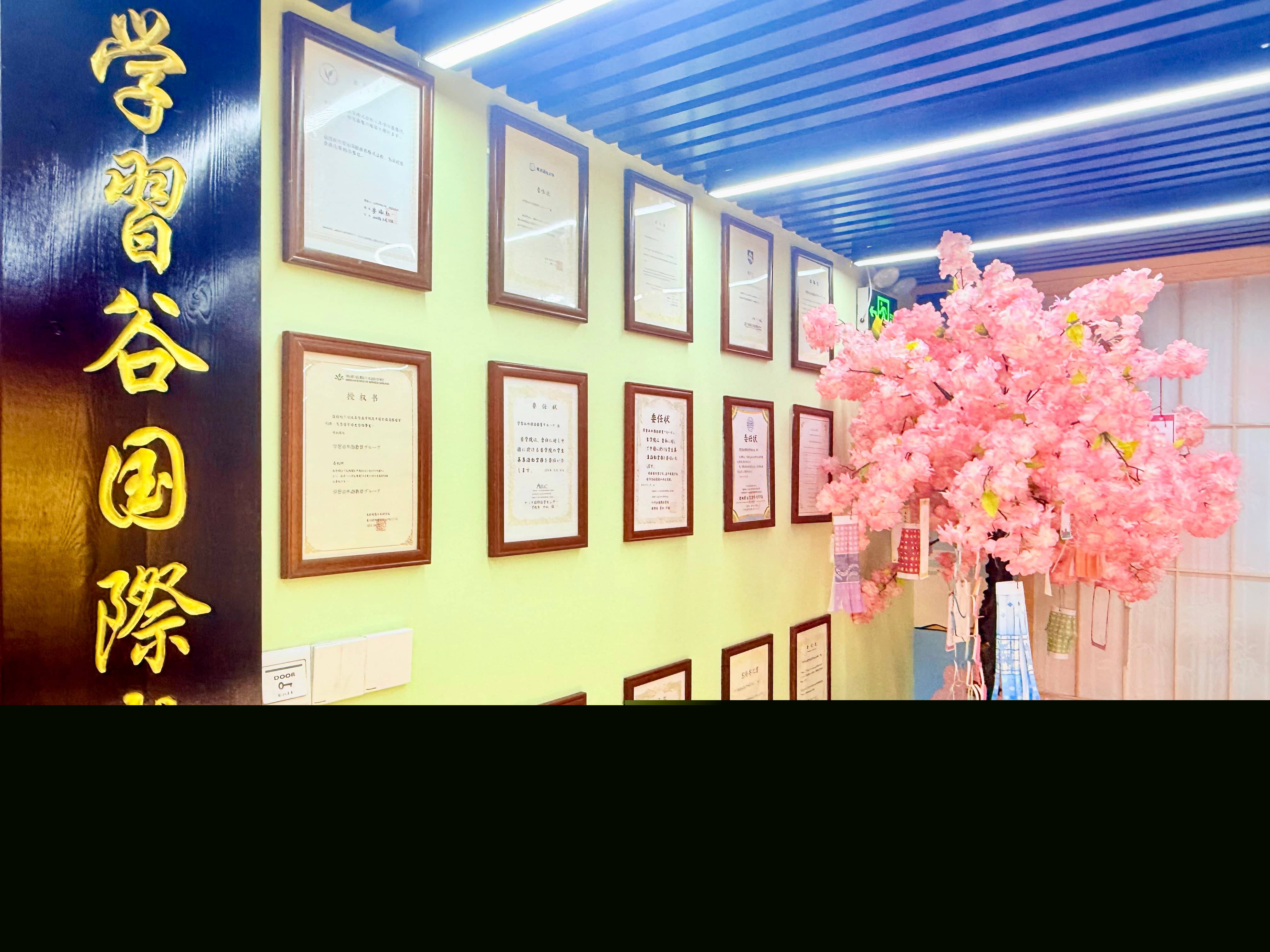 日語(yǔ)培訓(xùn)性價(jià)比深度對(duì)比，靠譜機(jī)構(gòu)與省錢攻略全解析