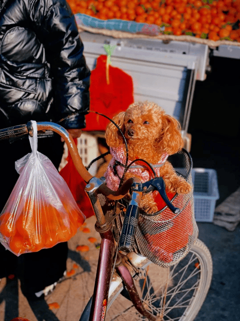 收藏！東營(yíng)趕集時(shí)間地點(diǎn)匯總來了！