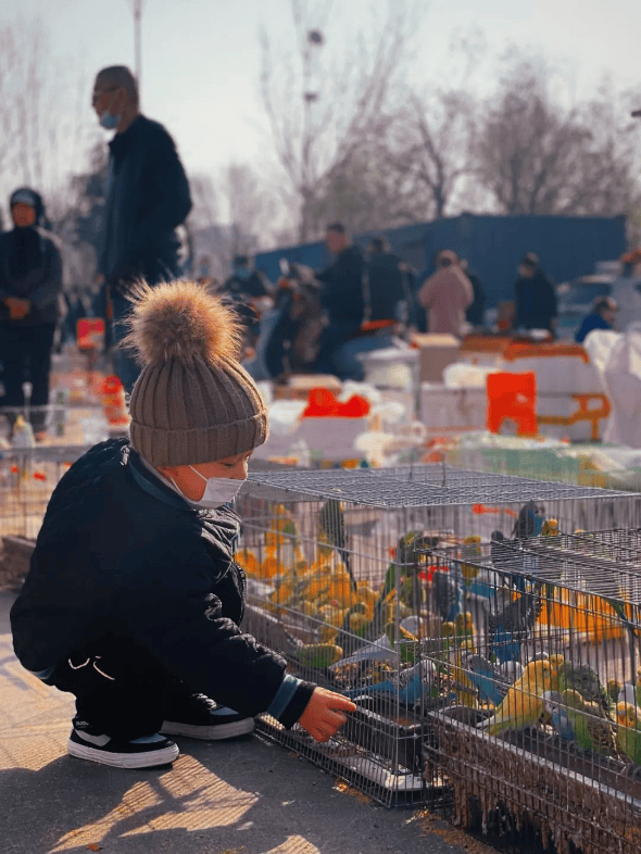 收藏！東營(yíng)趕集時(shí)間地點(diǎn)匯總來了！