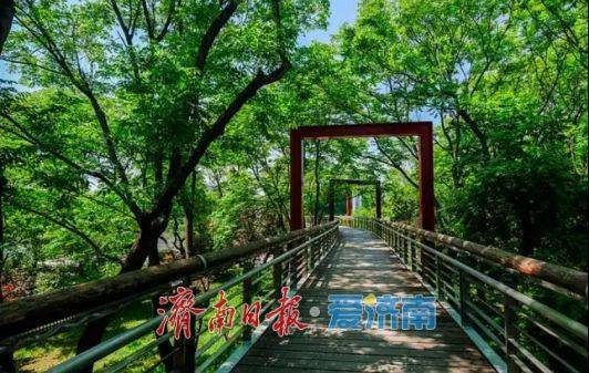 收藏！在泉城坐著地鐵逛公園最新攻略來啦