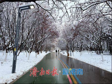 收藏！在泉城坐著地鐵逛公園最新攻略來啦