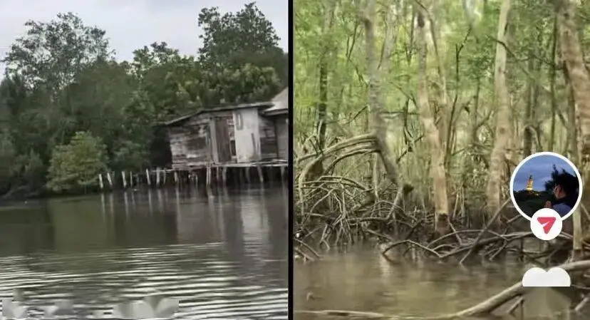 老年人出國旅游到底有多real？