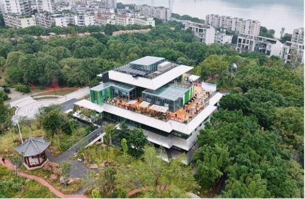 “圖書 ＋” 融合出新意 豐都圖書館激活山城縣域文化新動能