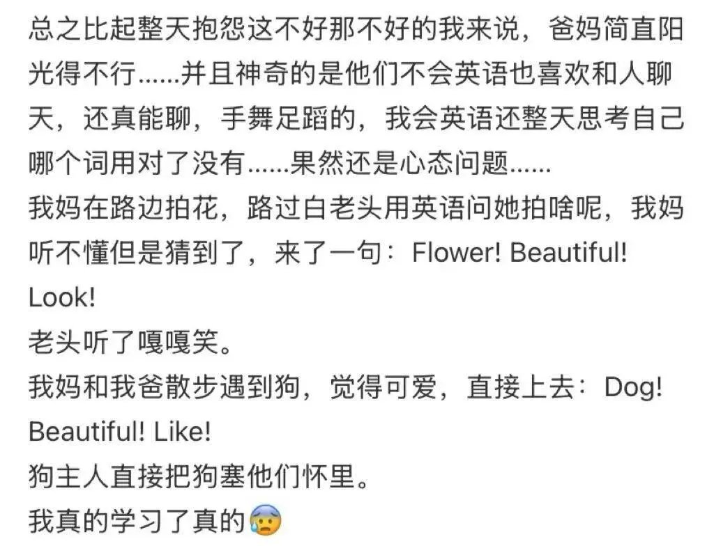 老年人出國旅游到底有多real？