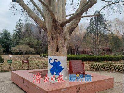 收藏！在泉城坐著地鐵逛公園最新攻略來啦