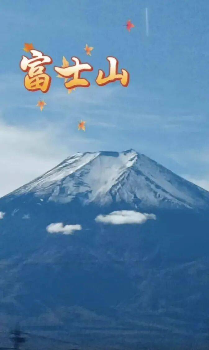 老年人出國旅游到底有多real？