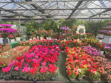 收藏！在泉城坐著地鐵逛公園最新攻略來啦