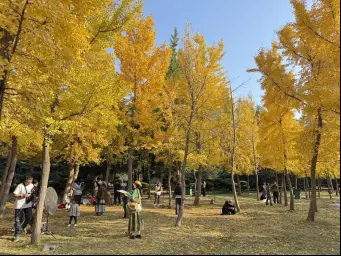 收藏！在泉城坐著地鐵逛公園最新攻略來啦