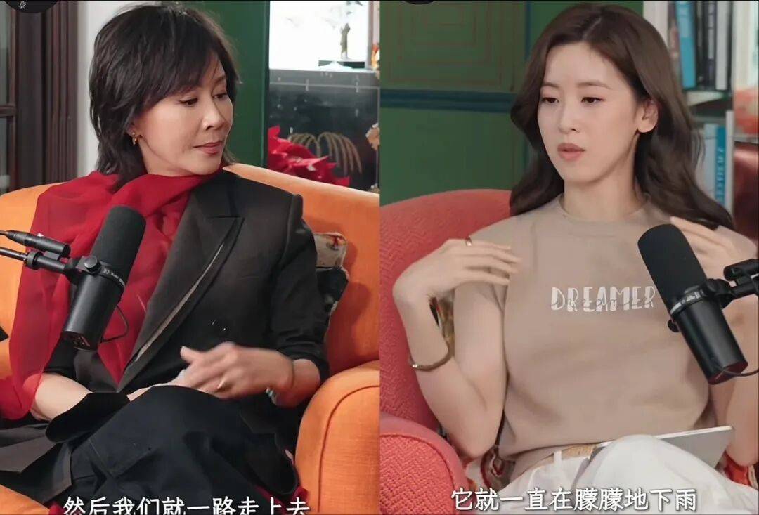 原創(chuàng)章澤天采訪劉嘉玲，看著就像小學生在用力演講，想得到老師的認可