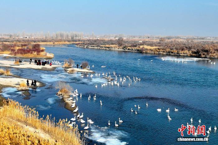 新疆“天鵝灣”旅游熱度攀升