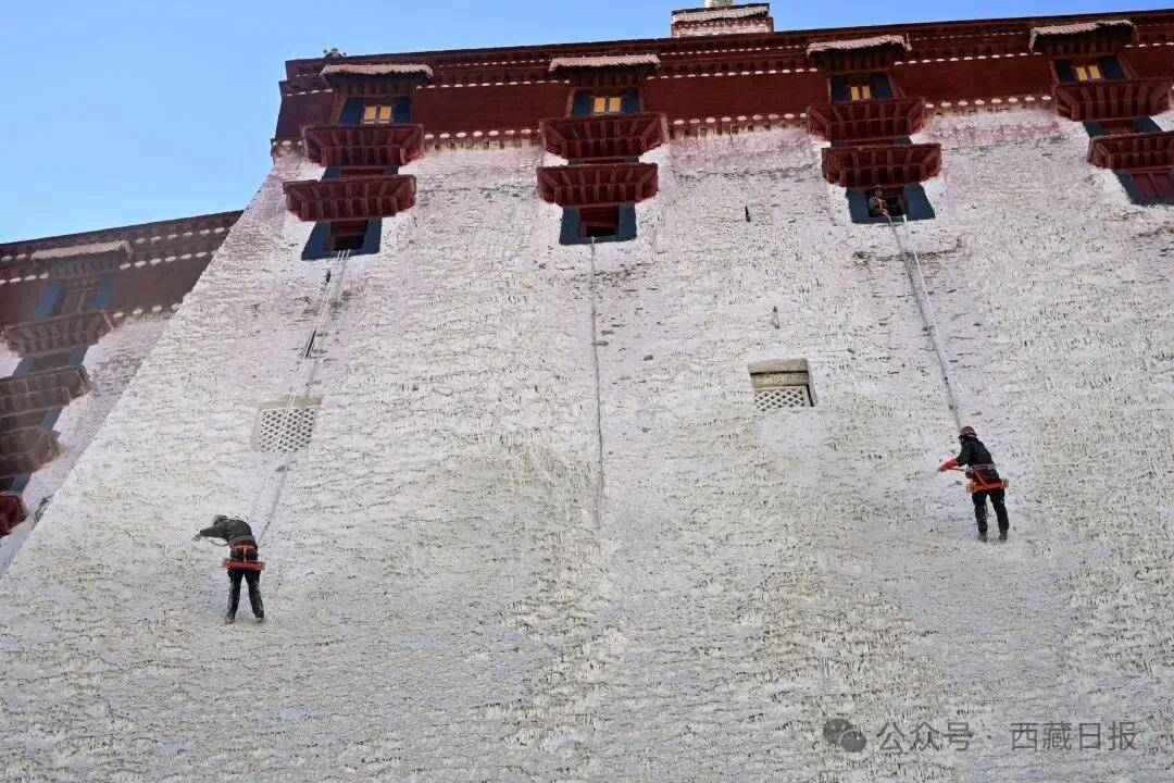 布達拉宮開始年度“美容”啦！