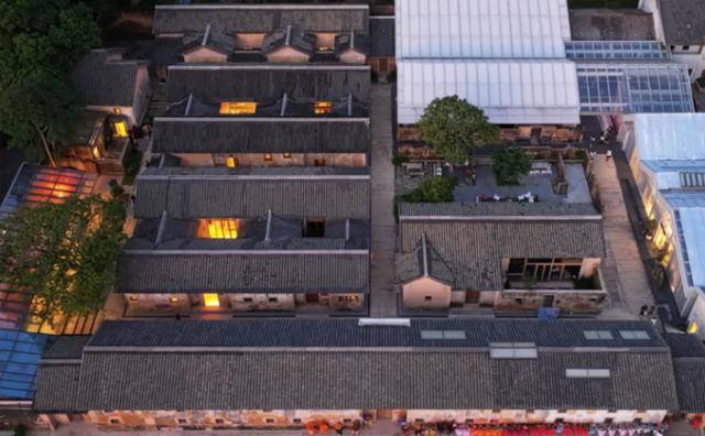 冬日浪漫！深圳坪山賞梅路線快收藏好