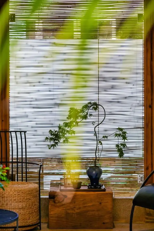 冬日浪漫！深圳坪山賞梅路線快收藏好