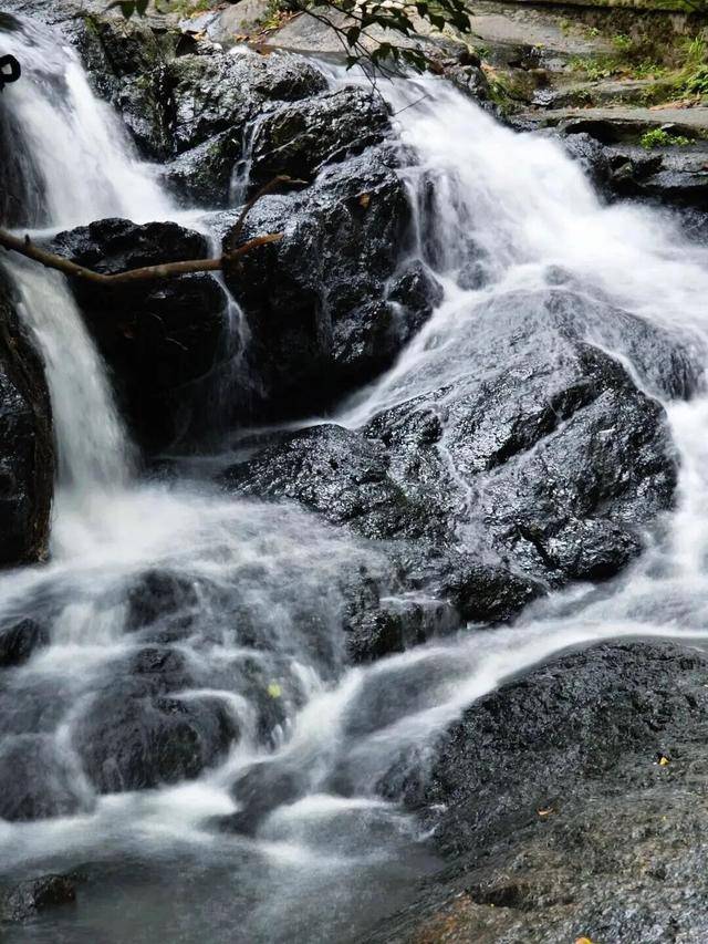 冬日浪漫！深圳坪山賞梅路線快收藏好