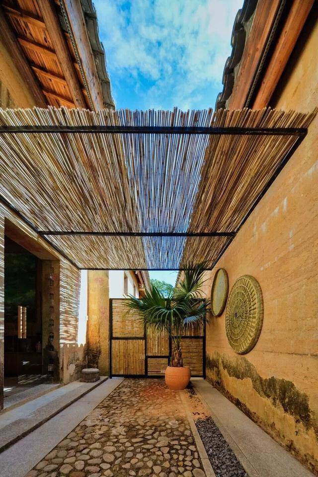 冬日浪漫！深圳坪山賞梅路線快收藏好