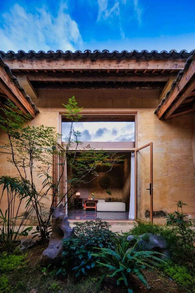 冬日浪漫！深圳坪山賞梅路線快收藏好