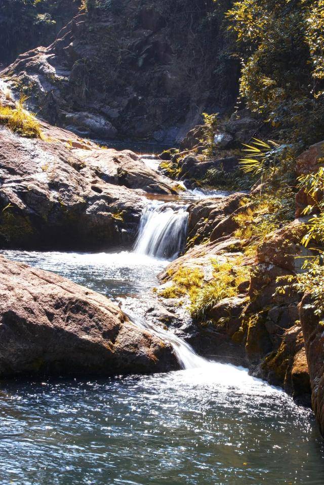 冬日浪漫！深圳坪山賞梅路線快收藏好