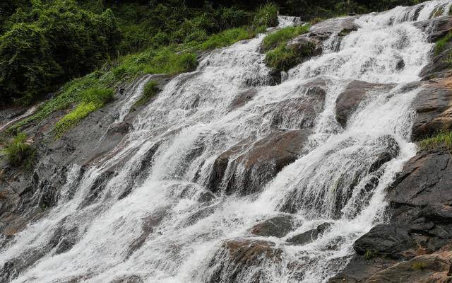 冬日浪漫！深圳坪山賞梅路線快收藏好
