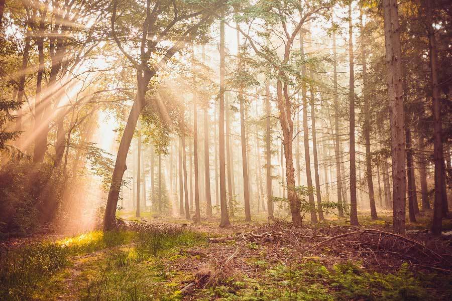舞蹈大賽展現(xiàn)多元舞蹈風(fēng)格精彩紛呈