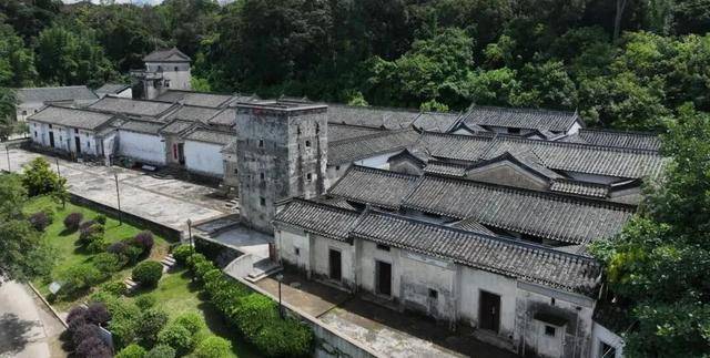 冬日浪漫！深圳坪山賞梅路線快收藏好