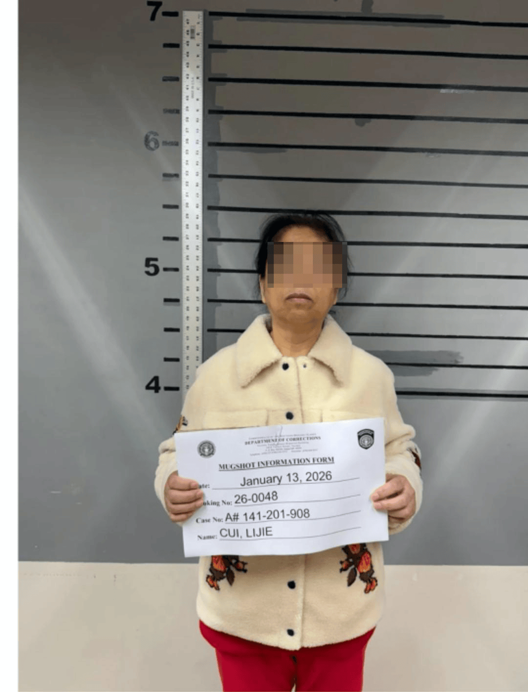 涉嫌違反美國移民法規(guī)則，吳佩慈