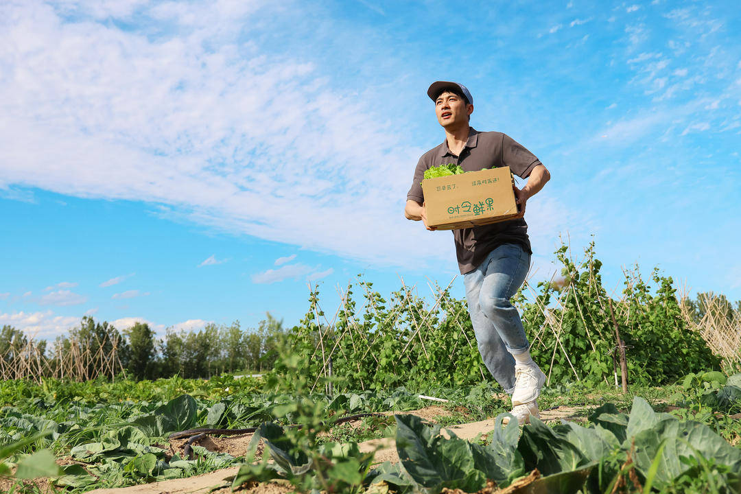 江蘇2025年快遞業(yè)務量157.9億件，漲幅13.5%，你貢獻了多少？