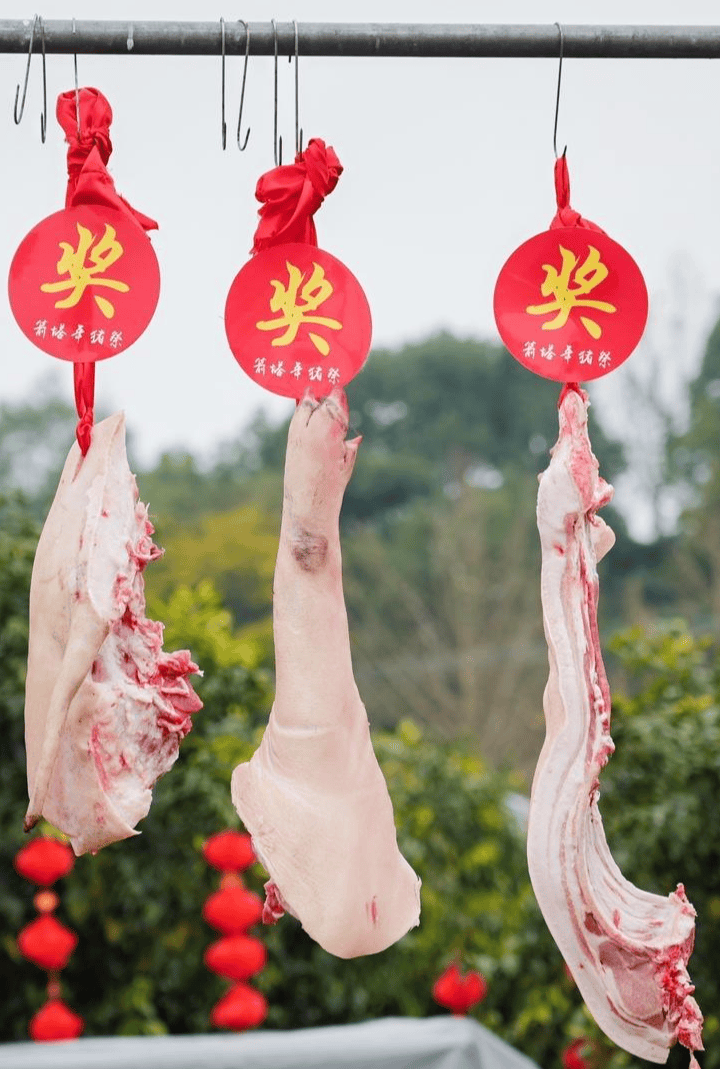 “刨豬宴”沒趕上，“箭塔年豬祭”十周年別錯過！出行提示趕緊收藏