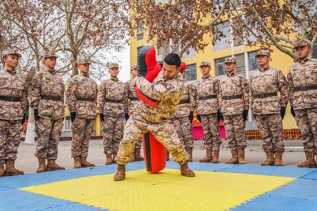 新苗破土，向陽生長，武警新兵“第二適應期”里快速轉(zhuǎn)型