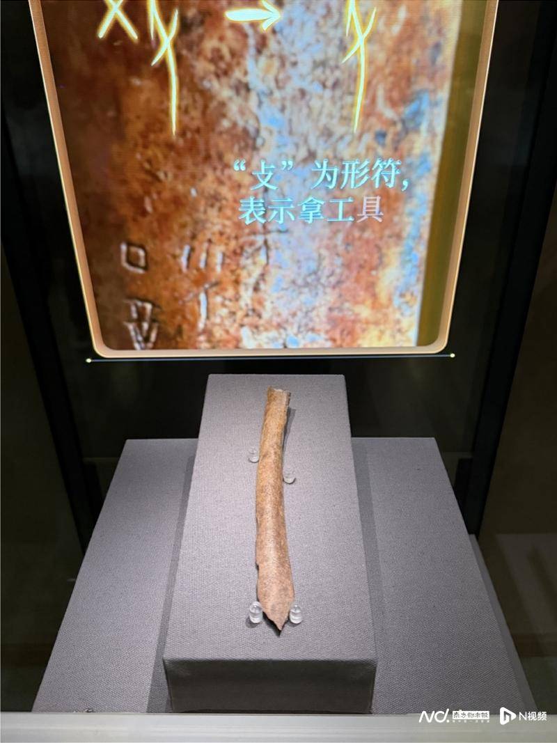 在國(guó)家圖書館，走進(jìn)“典籍里的書院”