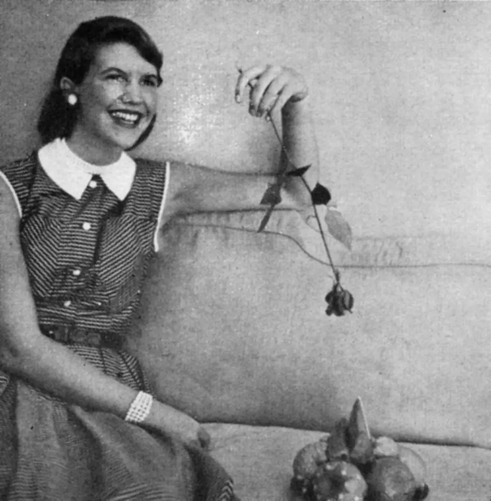 一間自己的房間：20世紀(jì)青年女性的輝煌社會(huì)史