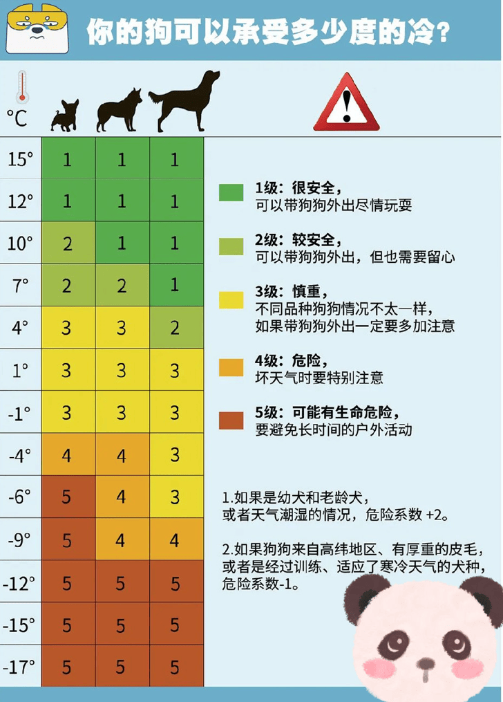 狗子怕冷故意把窗簾蓋在身上，狗：這暗示夠明顯了吧？