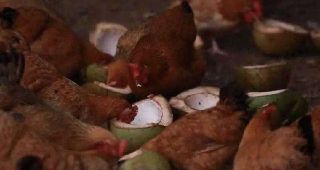 “沒人不愛吃的頂流美食”，正被拼多多送上全國餐桌