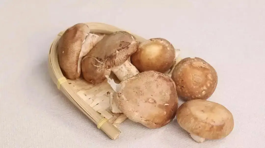 @所有女性！不想老的快，那么這幾樣食物一定要多吃！