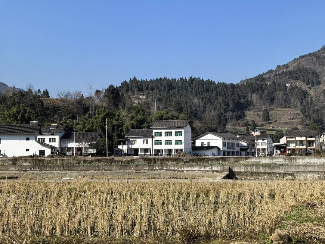 范家小學(xué)“學(xué)區(qū)房”里的家長們｜封面深鏡