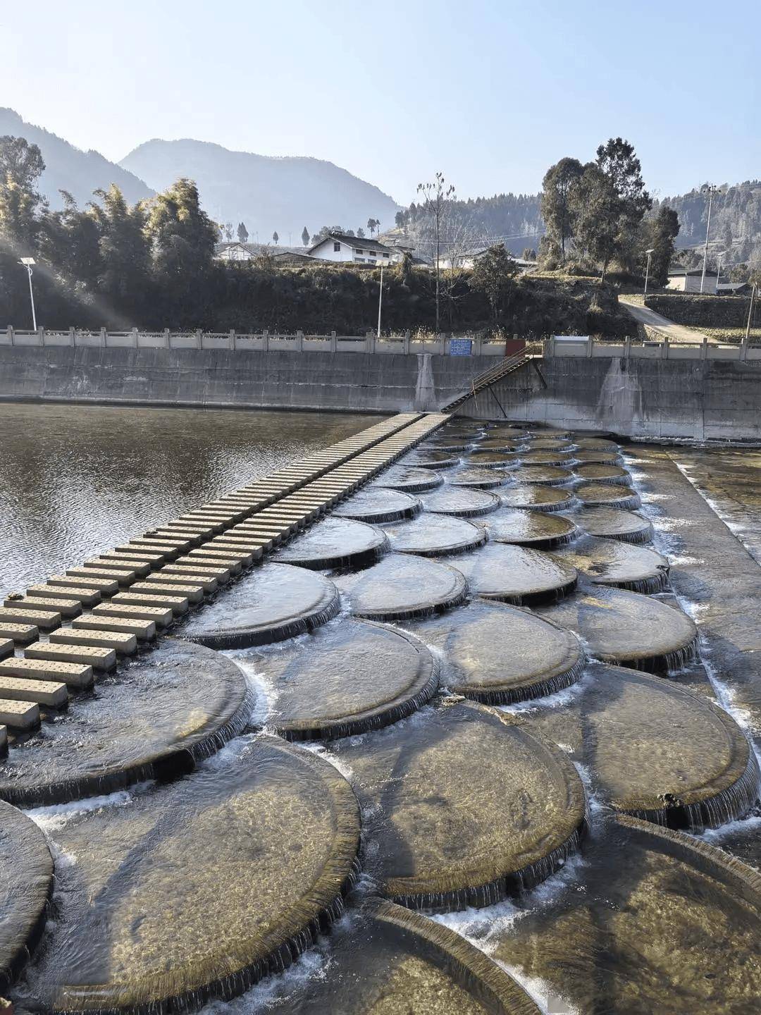 “會(huì)玩是件天大的事”！一農(nóng)村小學(xué)走紅，有人舉家搬遷，“學(xué)區(qū)房”一房難求