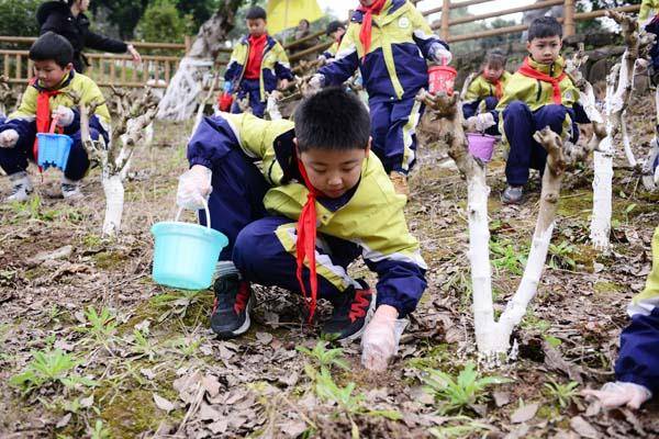 荒坡變課堂 這所小學(xué)創(chuàng)新特色勞動(dòng)育人模式