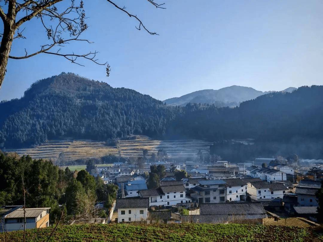 “會(huì)玩是件天大的事”！一農(nóng)村小學(xué)走紅，有人舉家搬遷，“學(xué)區(qū)房”一房難求