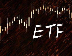 生物醫(yī)藥概念午后快速拉升，中藥50ETF漲1.13%