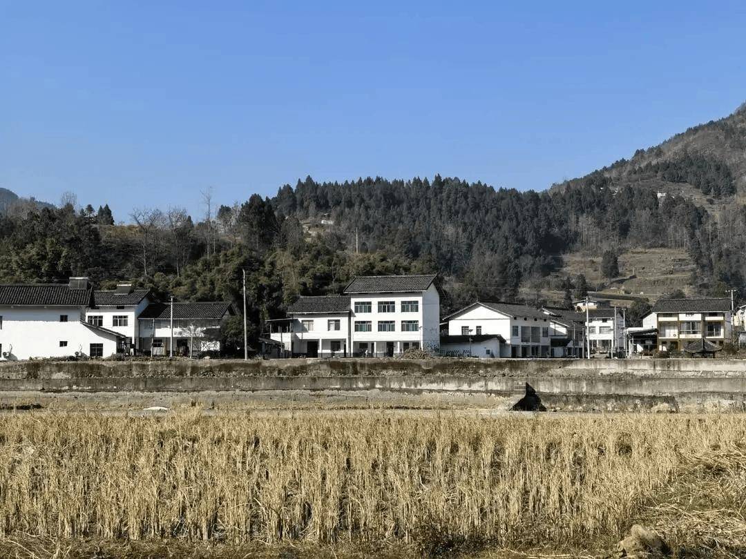 “會(huì)玩是件天大的事”！一農(nóng)村小學(xué)走紅，有人舉家搬遷，“學(xué)區(qū)房”一房難求