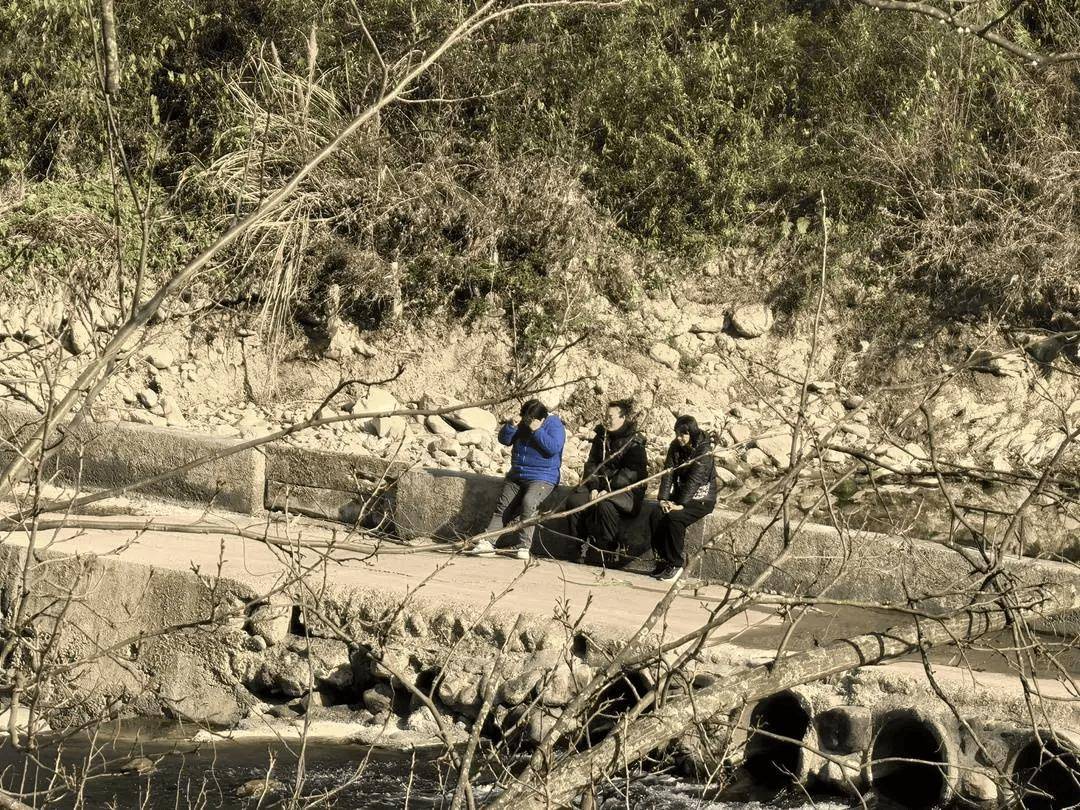 “會(huì)玩是件天大的事”！一農(nóng)村小學(xué)走紅，有人舉家搬遷，“學(xué)區(qū)房”一房難求