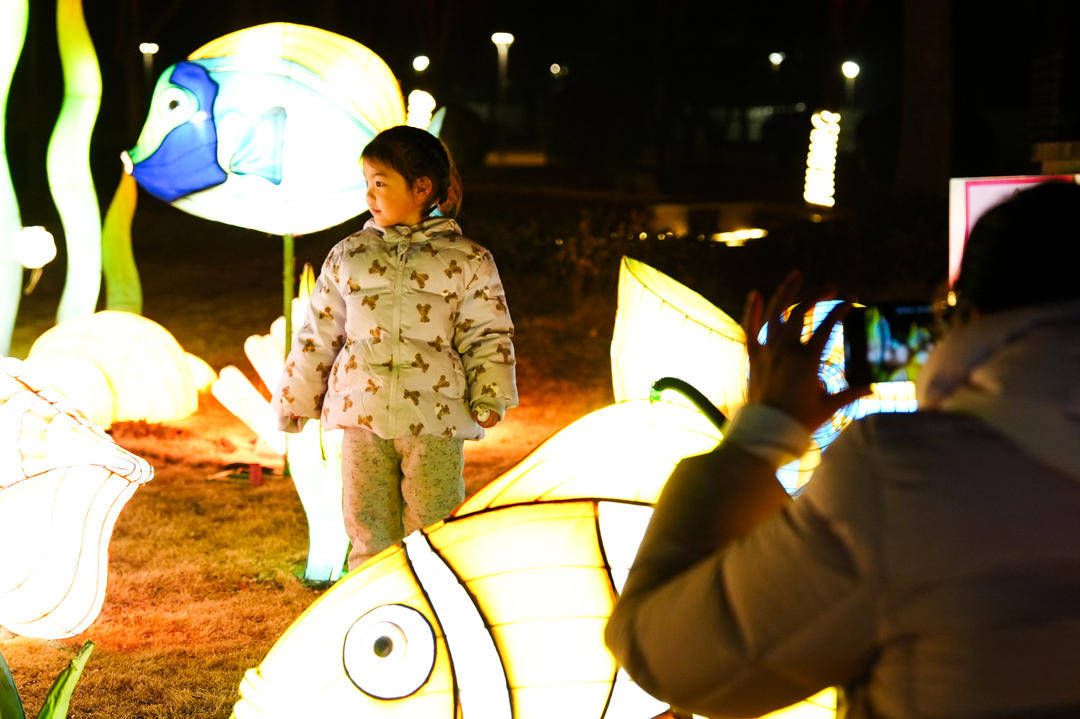 賞花燈、品美食、看表演……2026濟寧太白湖新春燈會開幕
