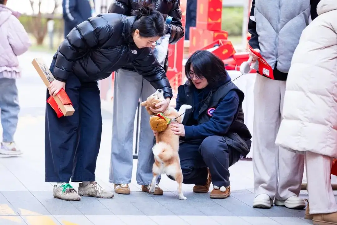 租賃房社區(qū)別樣年貨節(jié)暖心啟幕→