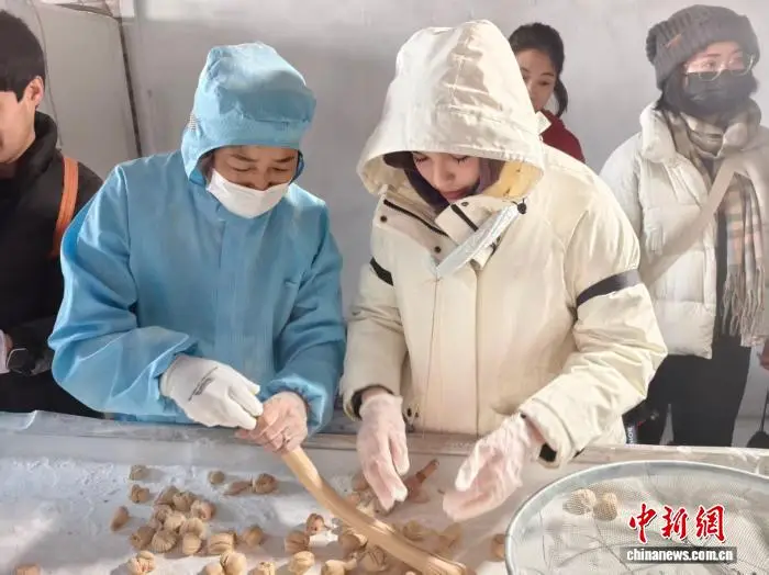 上合組織國(guó)家留學(xué)生走進(jìn)上合示范區(qū) 感受十足“中國(guó)年味”