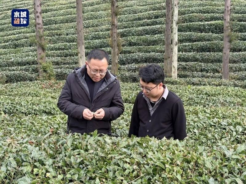 貴州省人大代表劉興：把論文寫在茶山 把履職落在實(shí)處