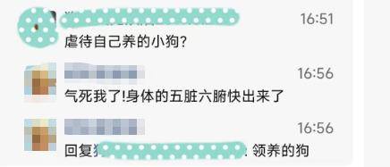 當(dāng)街虐貓勒索800元：法律沉默時(shí)，善良必須支付贖金嗎？